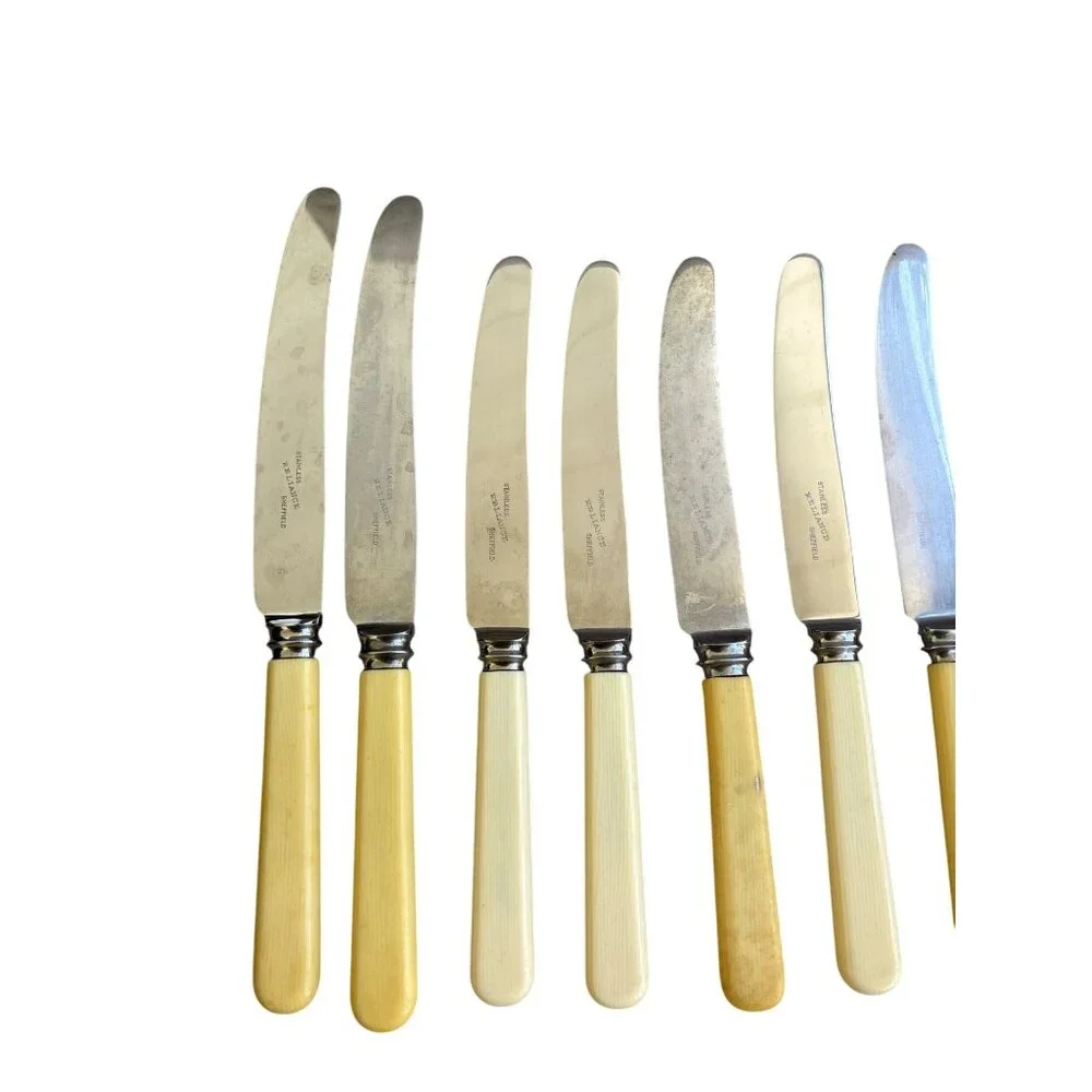Frank & Co Sheffield England Reliance Knives Stanless Steel Cutlery Celluloid‎